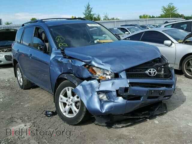 Фотография 2T3BF4DV8CW202105 - TOYOTA RAV4 2012