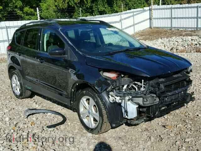 Photo 1FMCU0GX2DUB03354 - FORD ESCAPE 2013