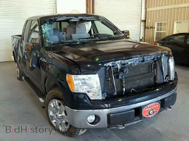 Фотография 1FTFX1EF5CFB11444 - FORD F150 2012