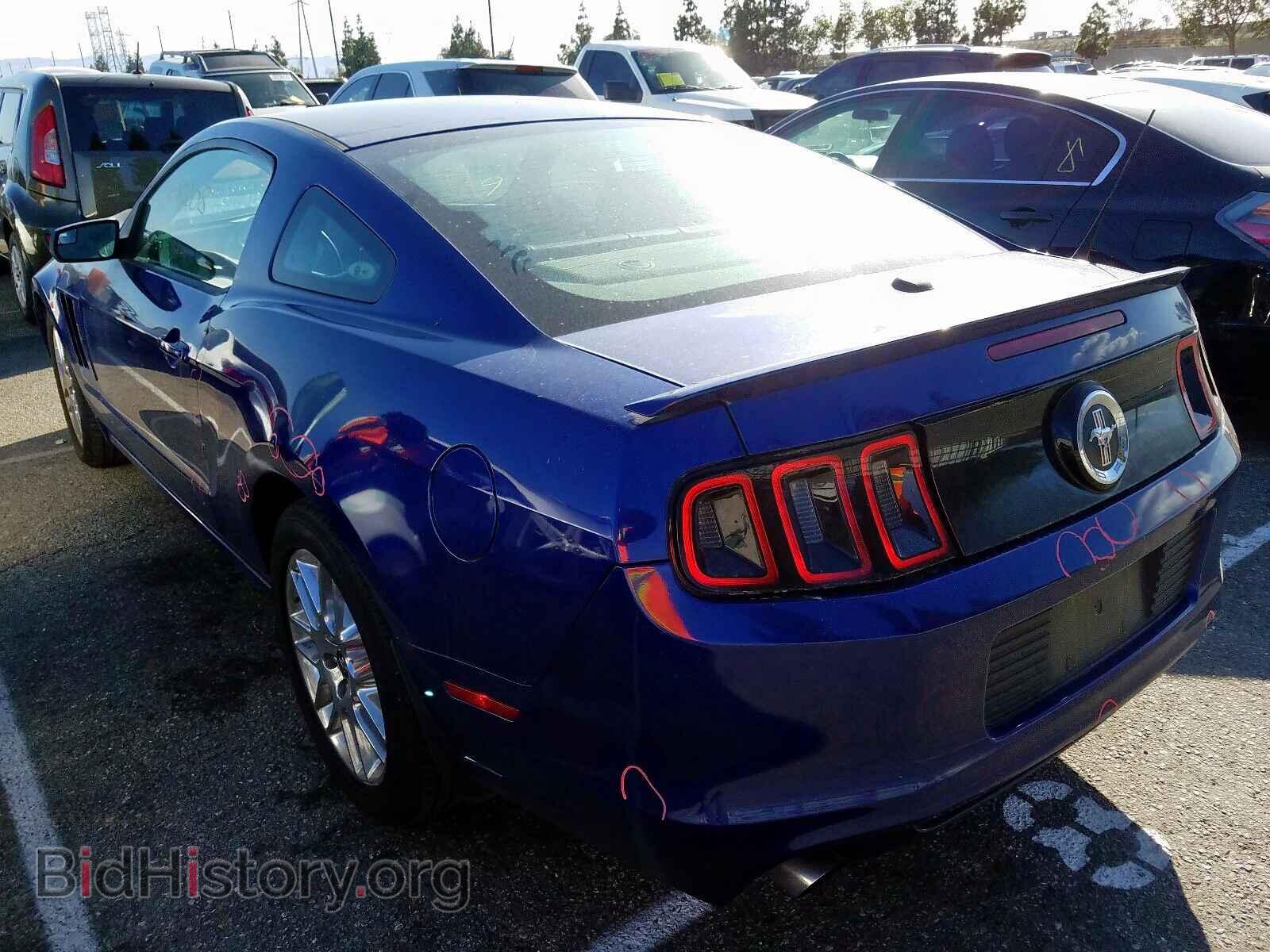 2013 FORD MUSTANG - VIN: 1ZVBP8AM7D5267470 - Фото 3
