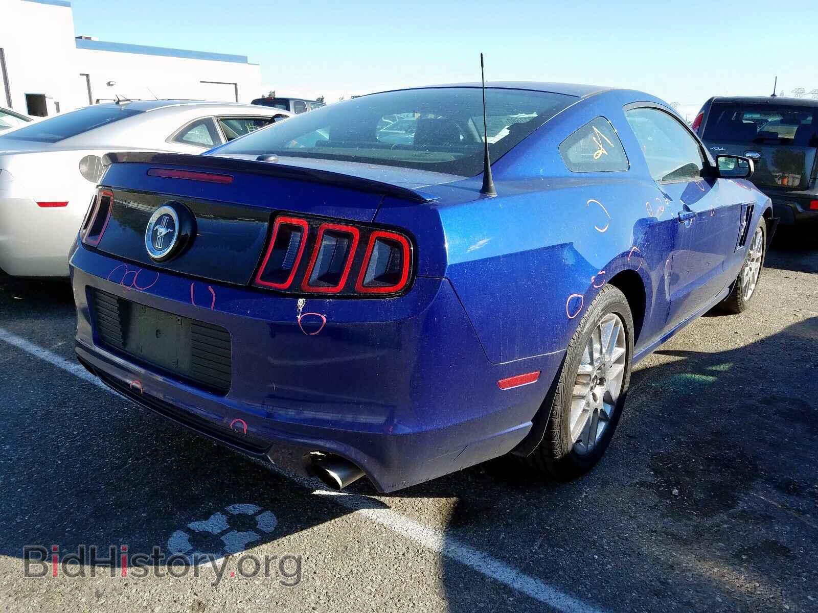 2013 FORD MUSTANG - VIN: 1ZVBP8AM7D5267470 - Фото 4