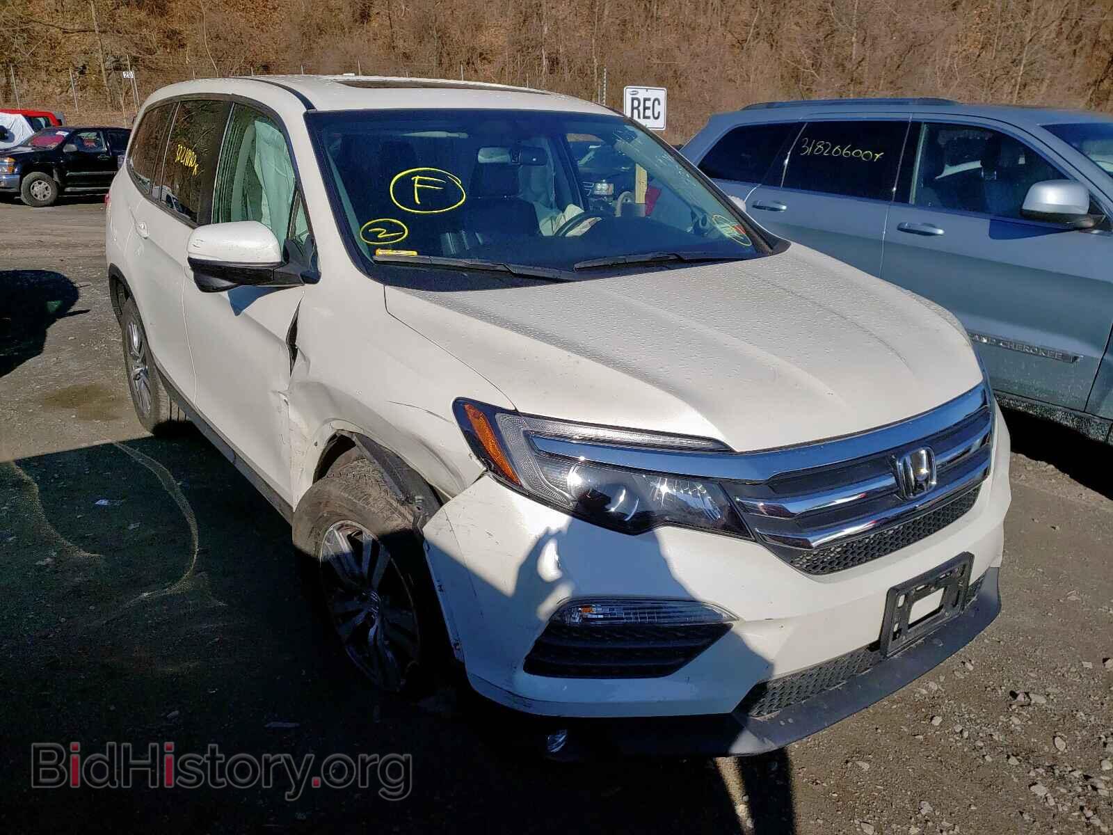 Photo 5FNYF6H51HB015835 - HONDA PILOT 2017