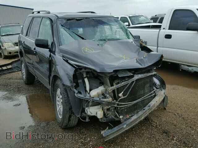 Photo 5FNYF18675B062875 - HONDA PILOT 2005