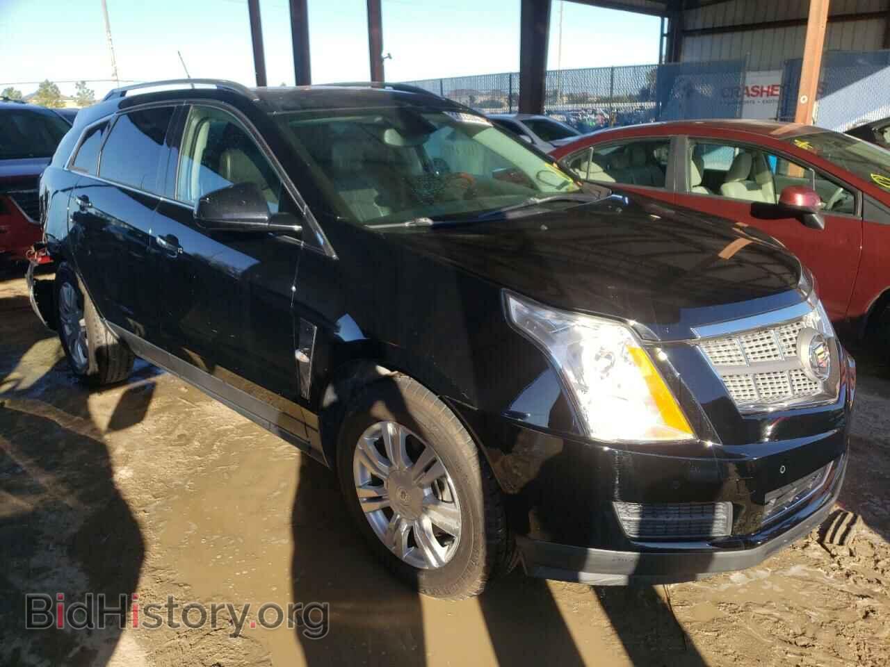 Photo 3GYFNAEY4AS551388 - CADILLAC SRX 2010