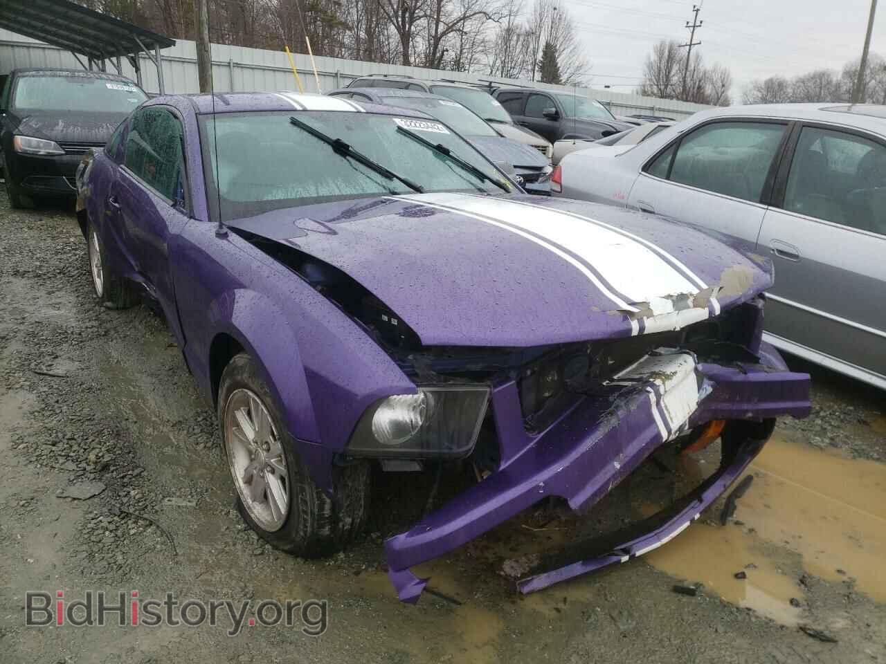 Photo 1ZVHT80N785133712 - FORD MUSTANG 2008