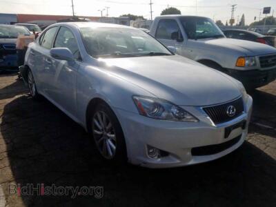 2009 Lexus IS IS 250, кремовый — VIN JTHBK262695092365, Copart