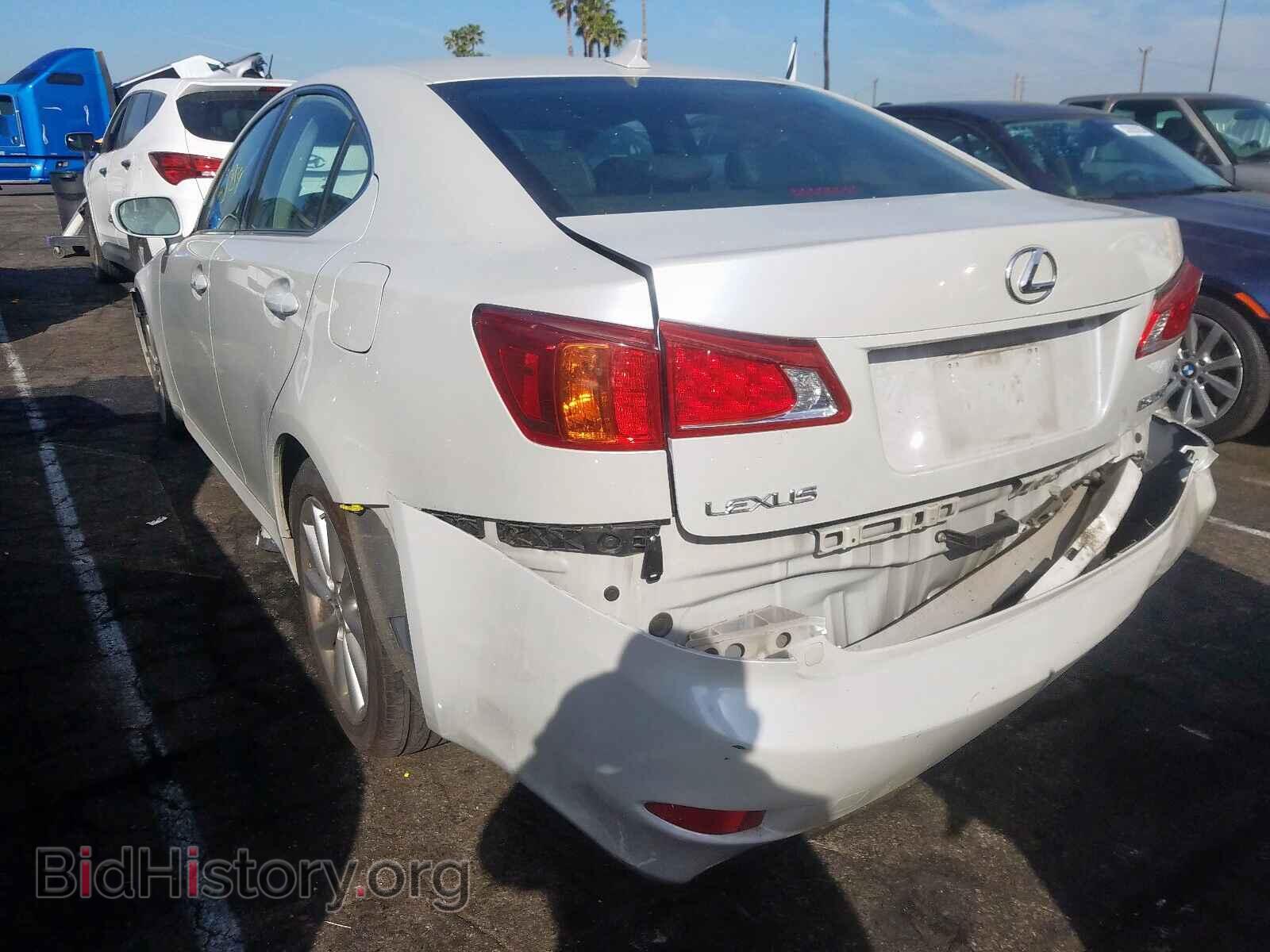 2009 LEXUS IS - VIN: JTHBK262695092365 - Фото 3