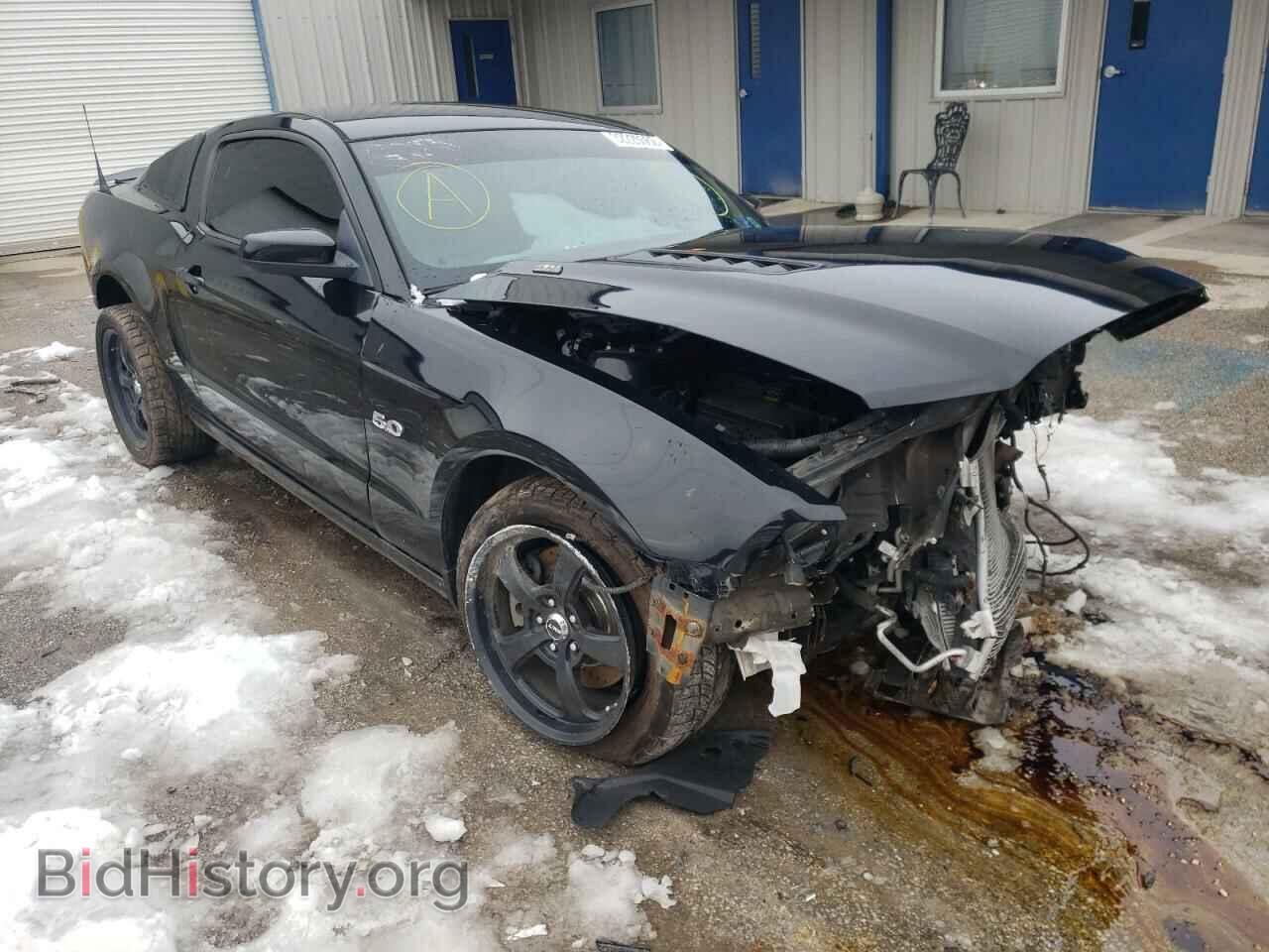 Фотография 1ZVBP8CF7D5201631 - FORD MUSTANG 2013