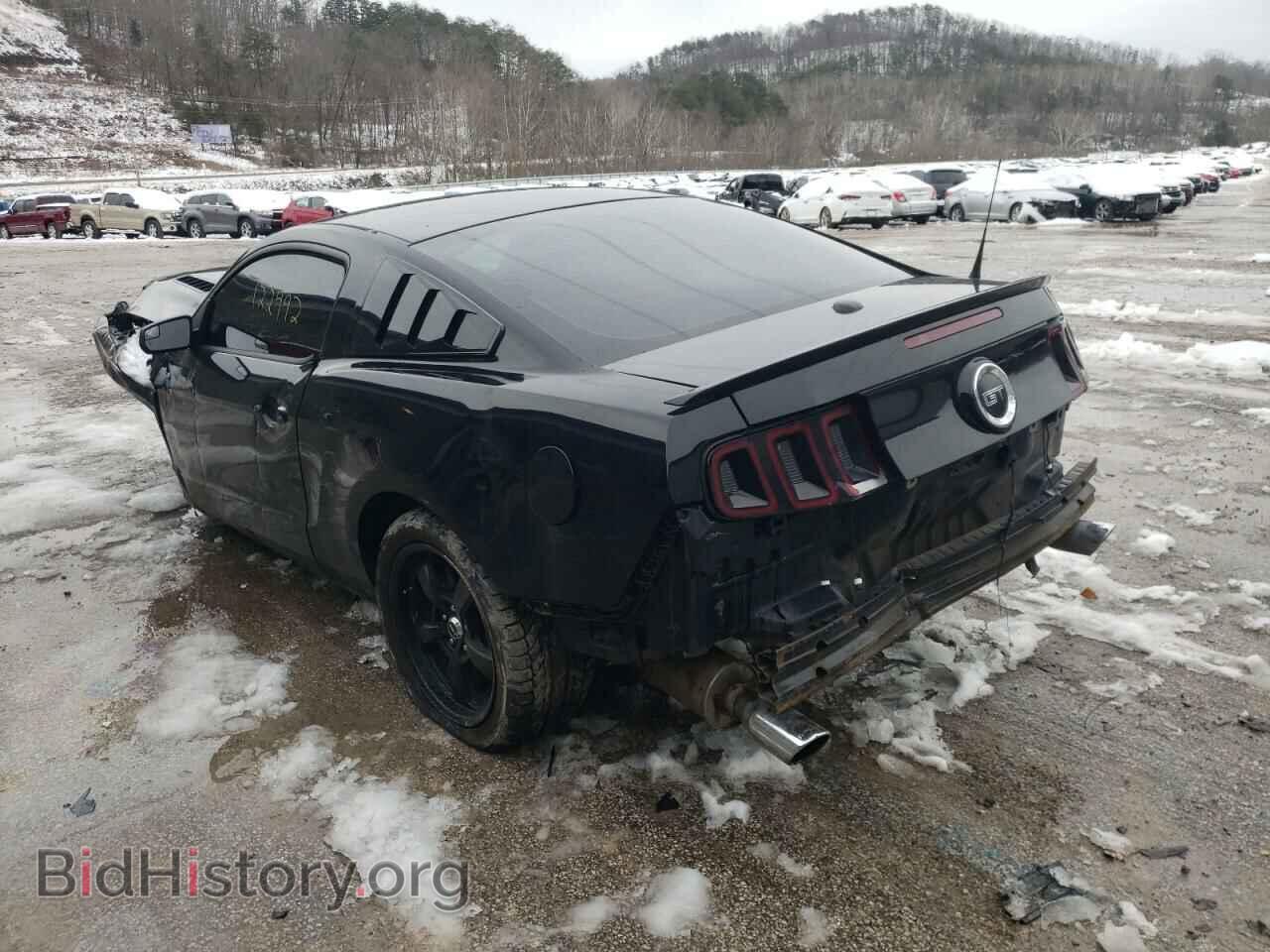 2013 FORD MUSTANG - VIN: 1ZVBP8CF7D5201631 - Фото 3