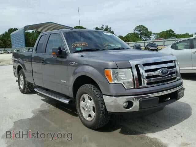 Photo 1FTFX1CT9BFA69870 - FORD F150 2011