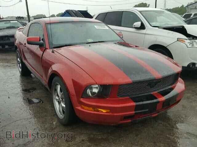 Photo 1ZVFT80N155171939 - FORD MUSTANG 2005