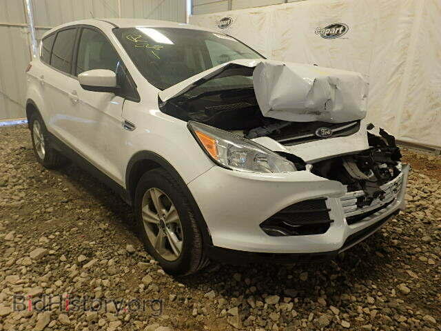 Фотография 1FMCU0G94EUB32941 - FORD ESCAPE 2014