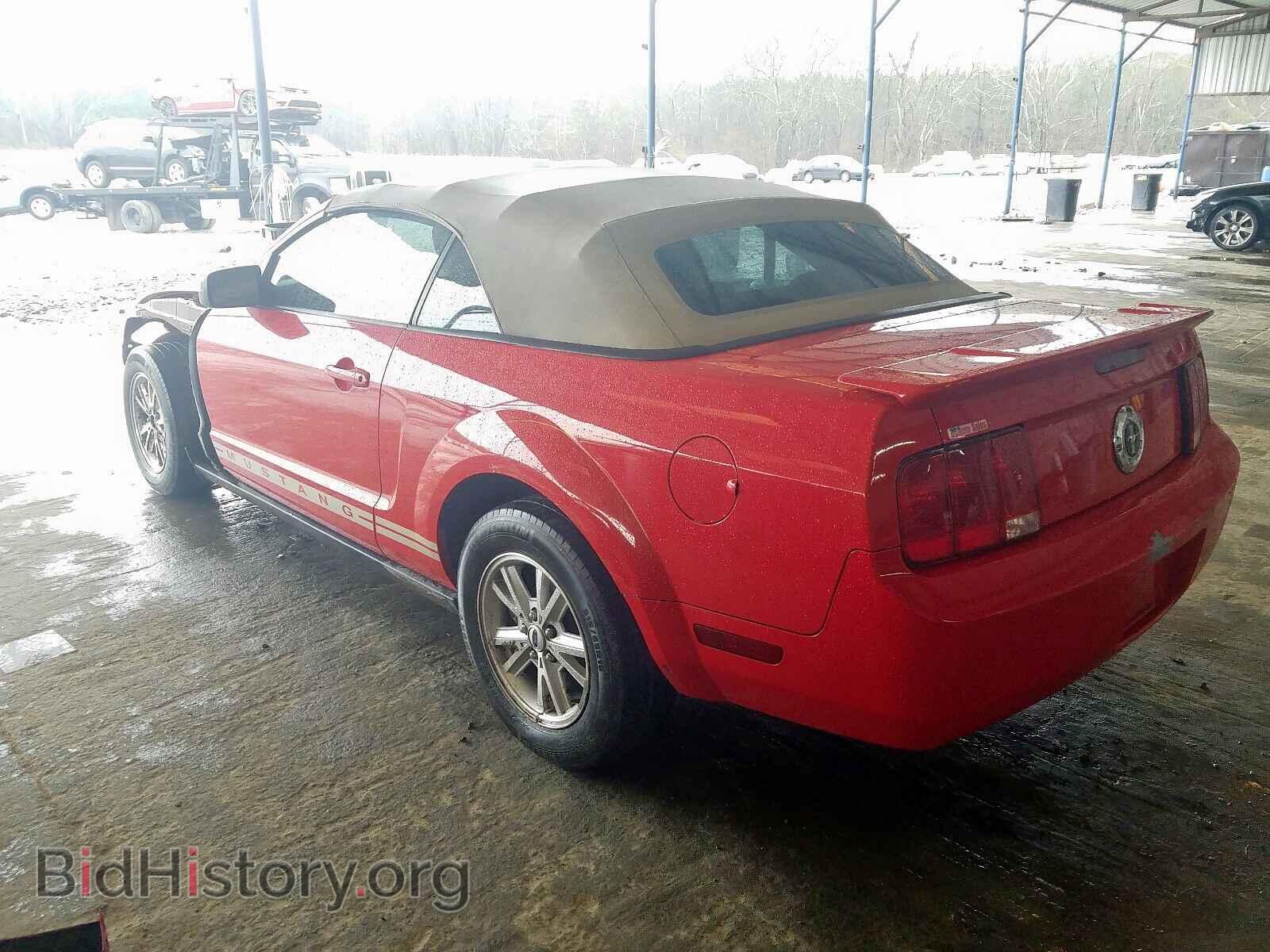 2009 FORD MUSTANG - VIN: 1ZVHT84N095125379 - Фото 3