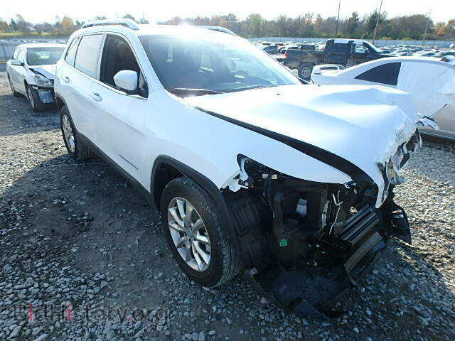 Photo 1C4PJMDB2EW239942 - JEEP CHEROKEE 2014