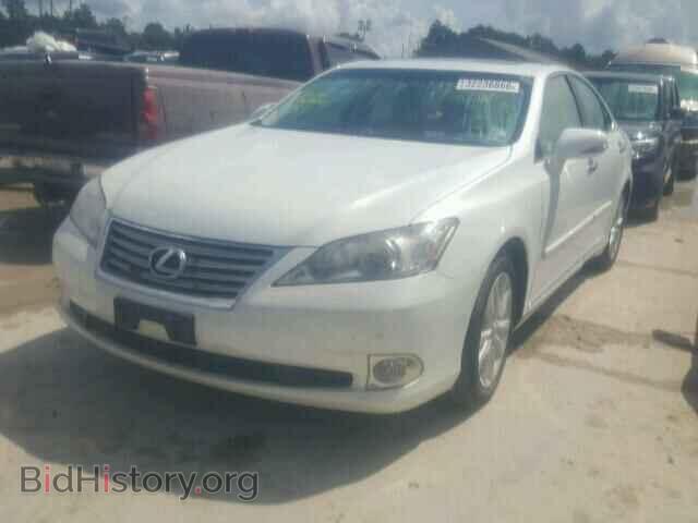 2012 LEXUS ES350 - VIN: JTHBK1EG0C2495385 - Фото 2