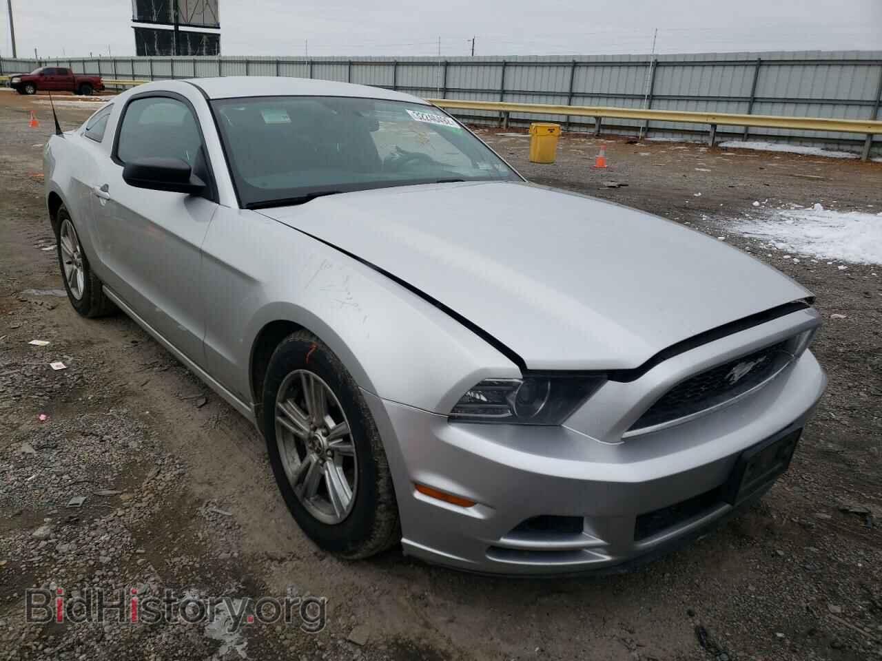 Фотография 1ZVBP8AM6E5308964 - FORD MUSTANG 2014