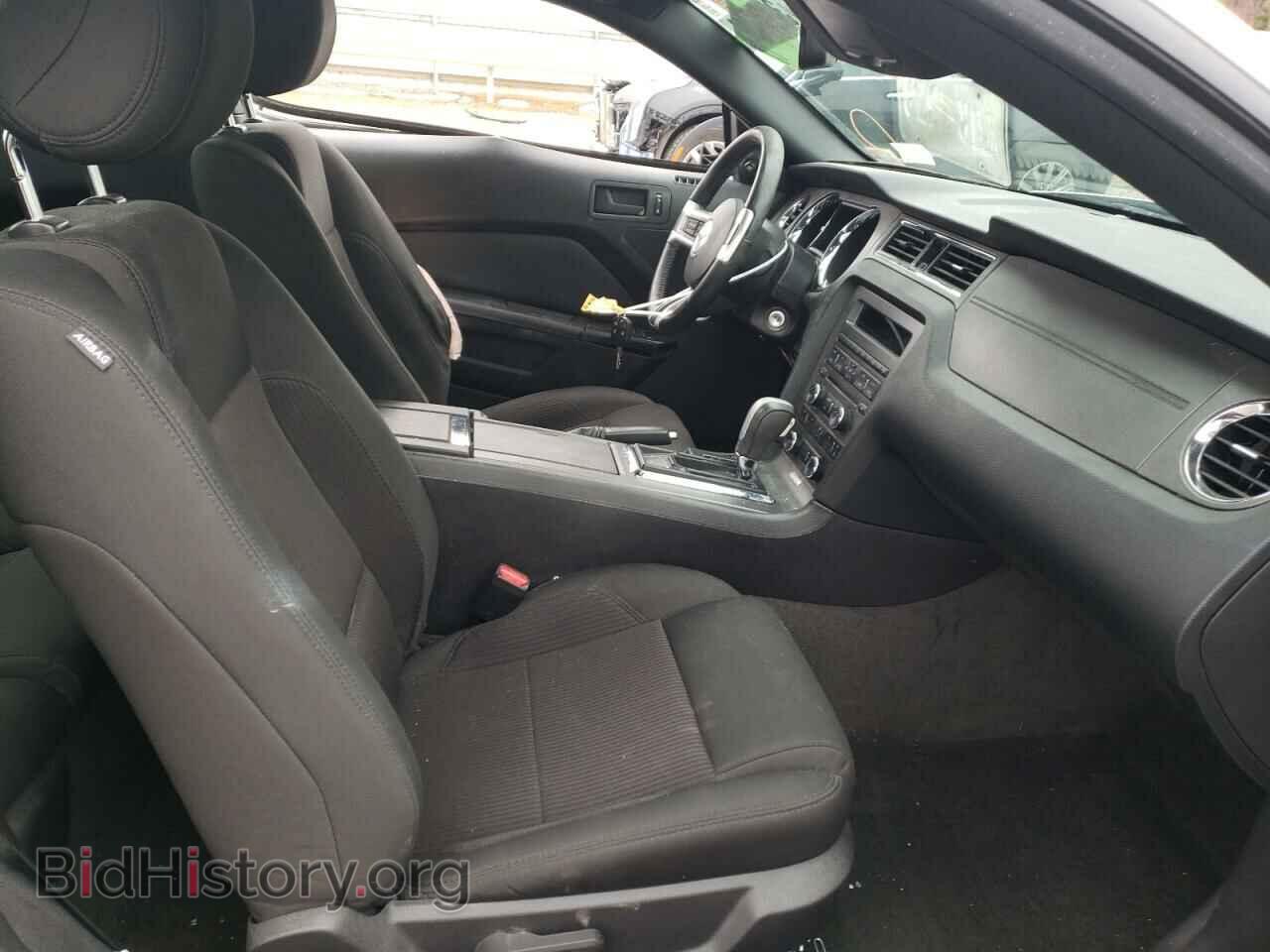 2014 FORD MUSTANG - VIN: 1ZVBP8AM6E5308964 - Фото 5