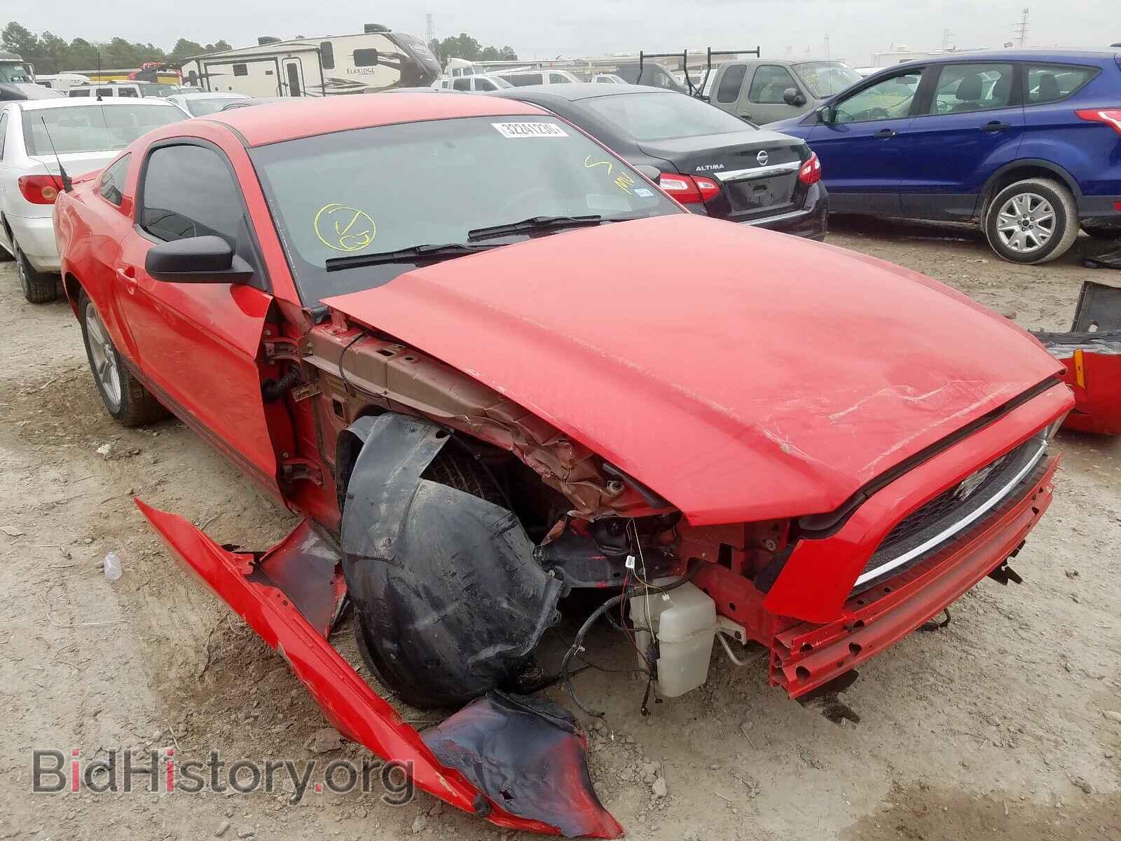 Фотография 1ZVBP8AM2D5254836 - FORD MUSTANG 2013