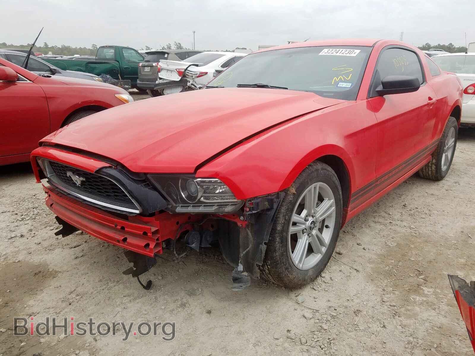 2013 FORD MUSTANG - VIN: 1ZVBP8AM2D5254836 - Фото 2