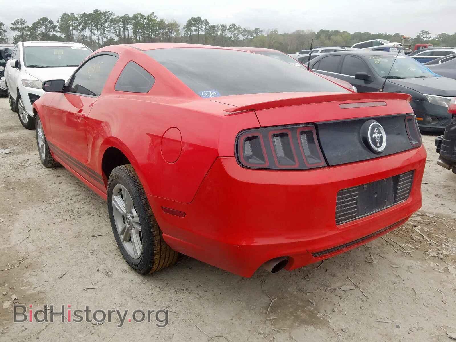 2013 FORD MUSTANG - VIN: 1ZVBP8AM2D5254836 - Фото 3