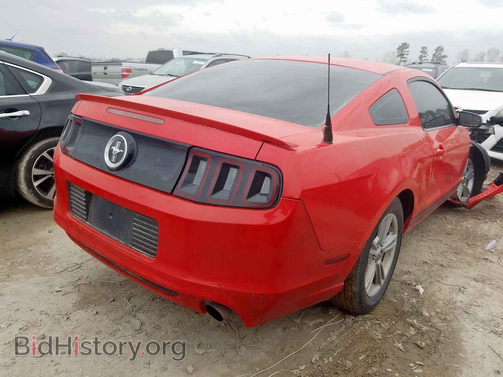 2013 FORD MUSTANG - VIN: 1ZVBP8AM2D5254836 - Фото 4
