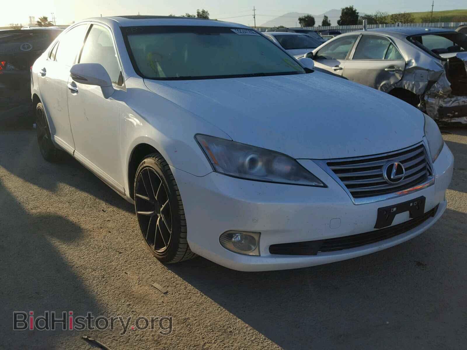 Фотография JTHBK1EG6B2456086 - LEXUS ES350 2011
