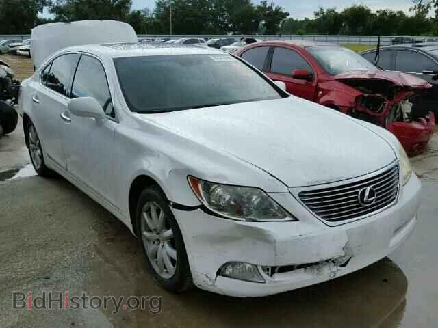 Photo JTHBL46F085062885 - LEXUS LS460 2008