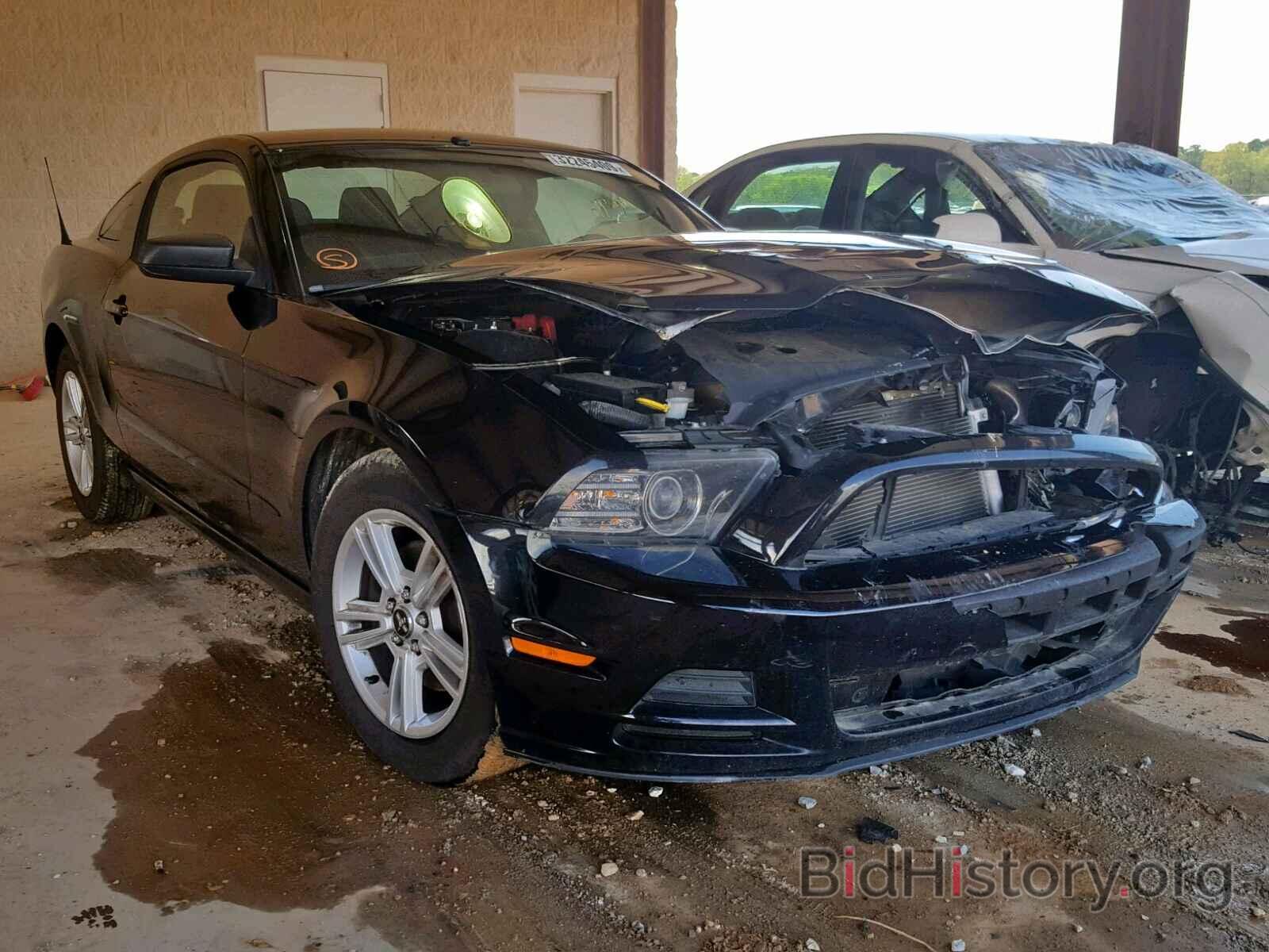Photo 1ZVBP8AM1D5275855 - FORD MUSTANG 2013