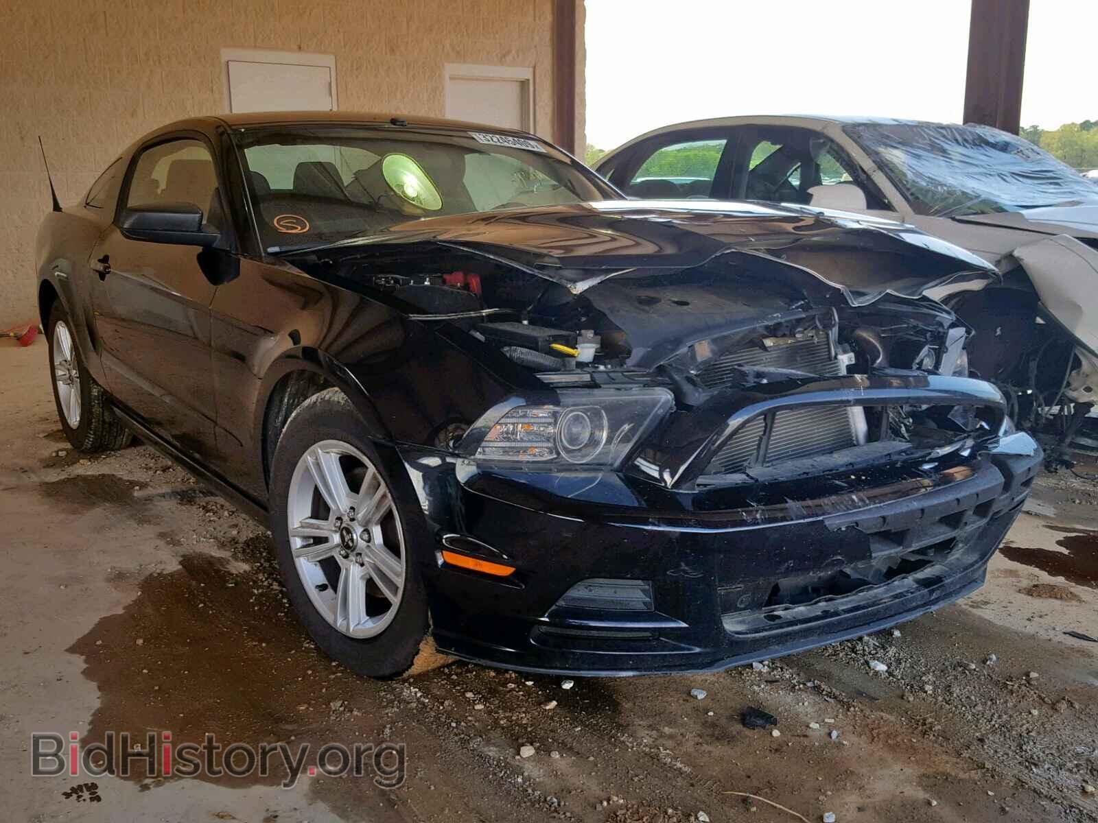 Photo 1ZVBP8AM1D5275855 - FORD MUSTANG 2013