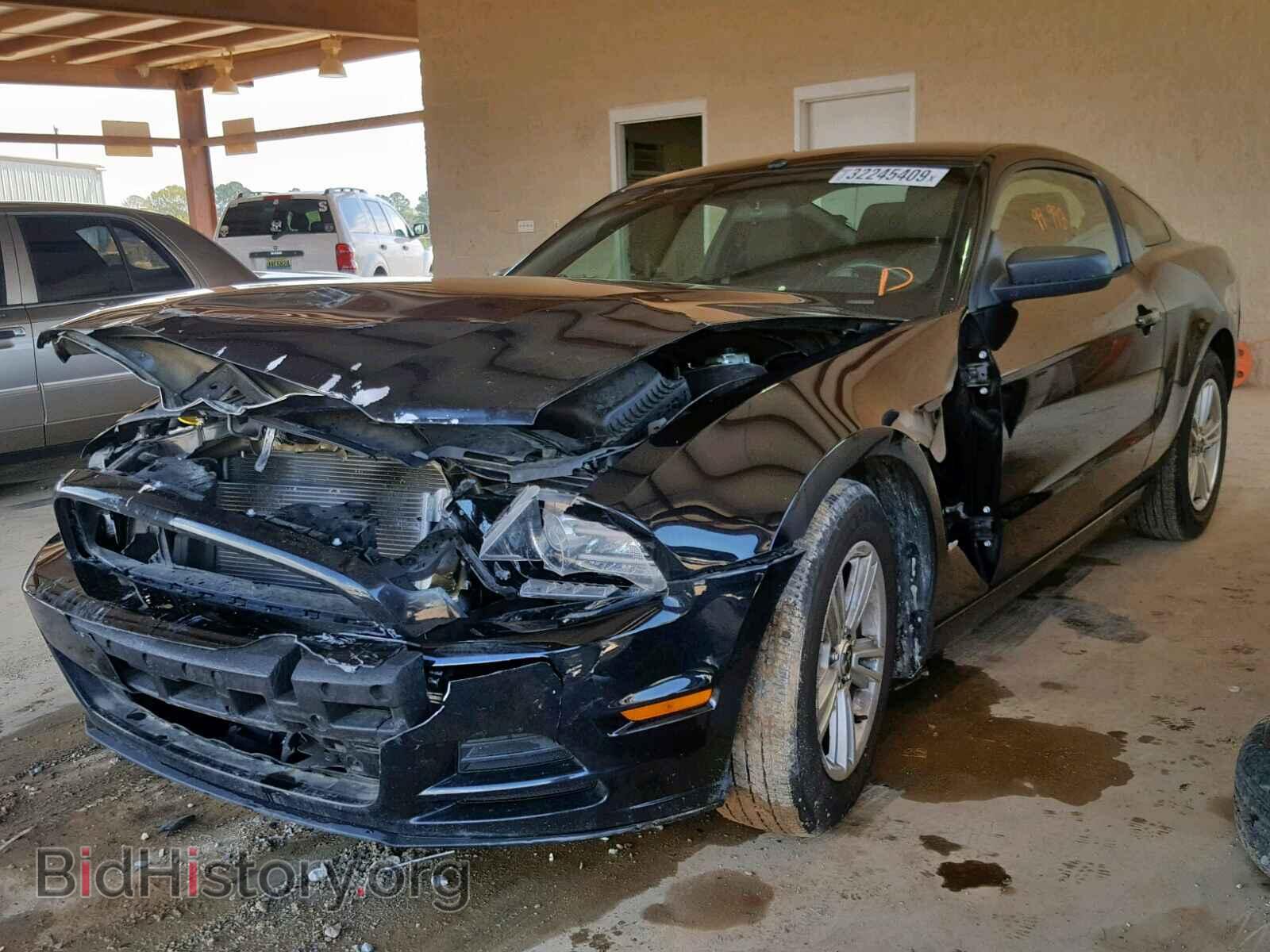 2013 FORD MUSTANG - VIN: 1ZVBP8AM1D5275855 - Фото 2