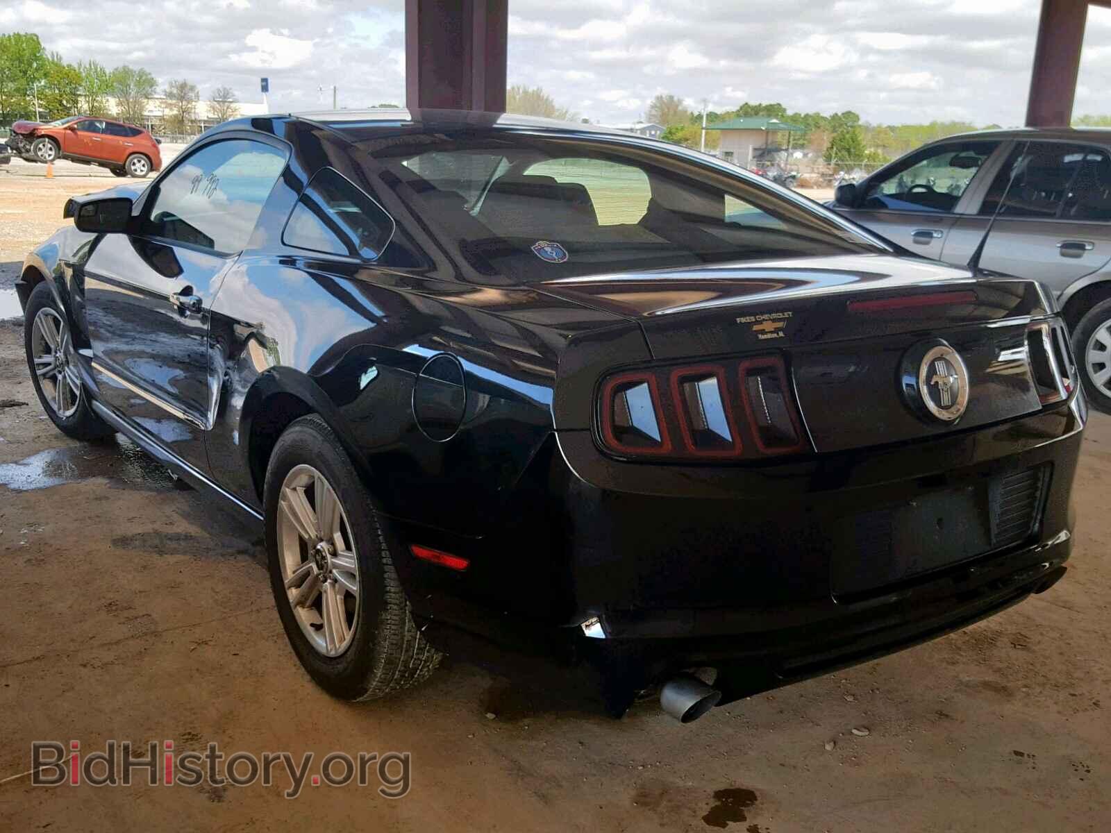 2013 FORD MUSTANG - VIN: 1ZVBP8AM1D5275855 - Фото 3