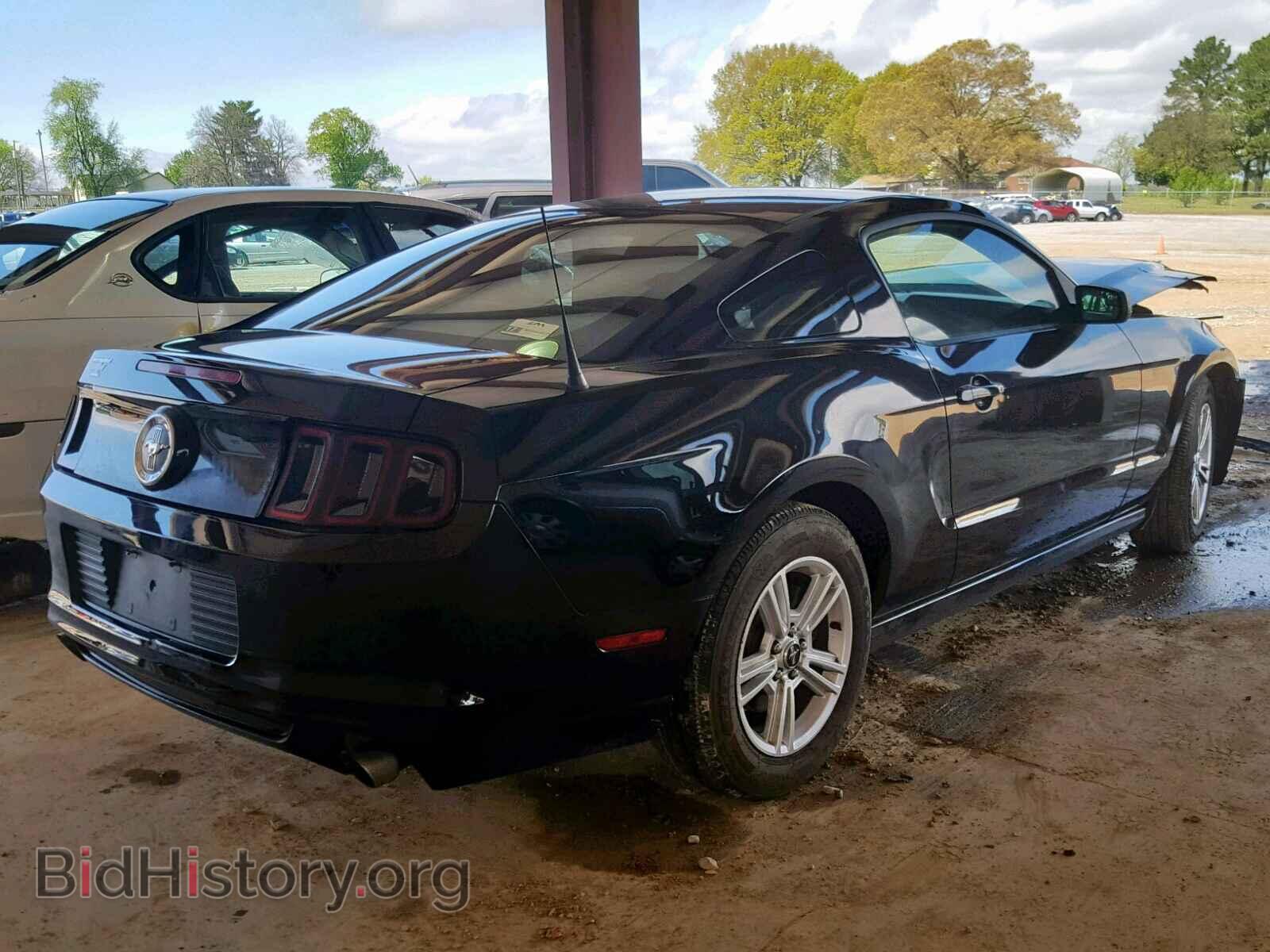 2013 FORD MUSTANG - VIN: 1ZVBP8AM1D5275855 - Фото 4