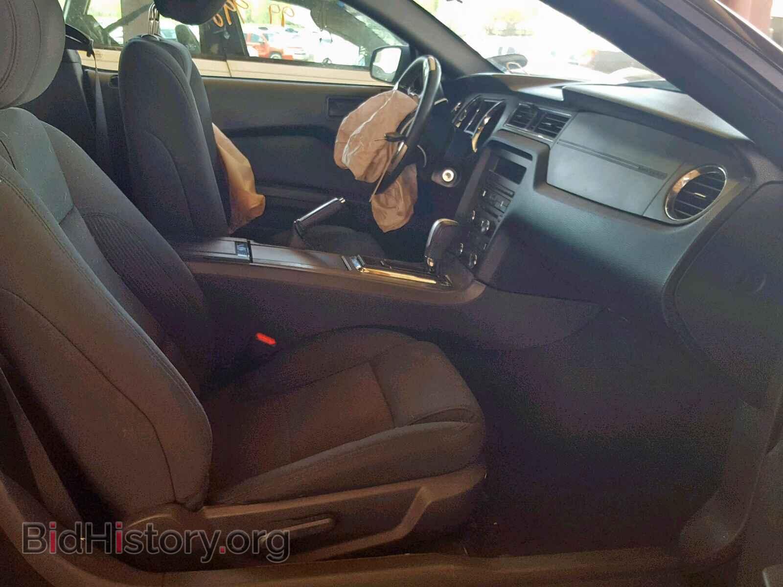 2013 FORD MUSTANG - VIN: 1ZVBP8AM1D5275855 - Фото 5