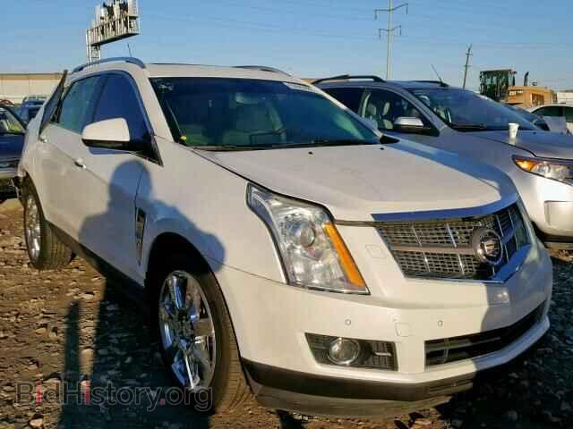 Фотография 3GYFNBEY7AS540696 - CADILLAC SRX PERFOR 2010