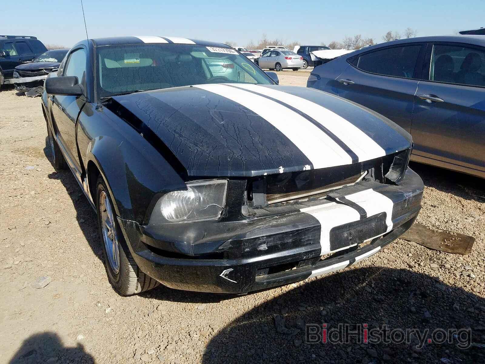 Photo 1ZVHT80N985168008 - FORD MUSTANG 2008