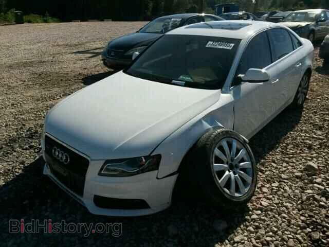 2010 AUDI A4 - VIN: WAUFFAFL4AN059179 - Фото 2