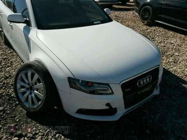 2010 AUDI A4 - VIN: WAUFFAFL4AN059179 - Фото 10