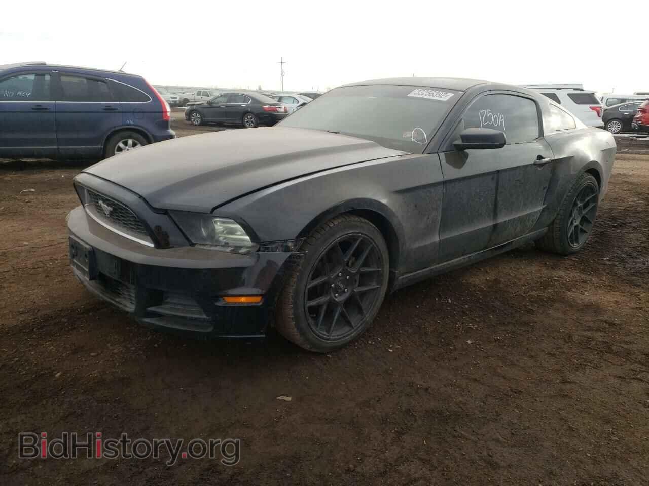 2014 FORD MUSTANG - VIN: 1ZVBP8AMXE5292266 - Фото 2