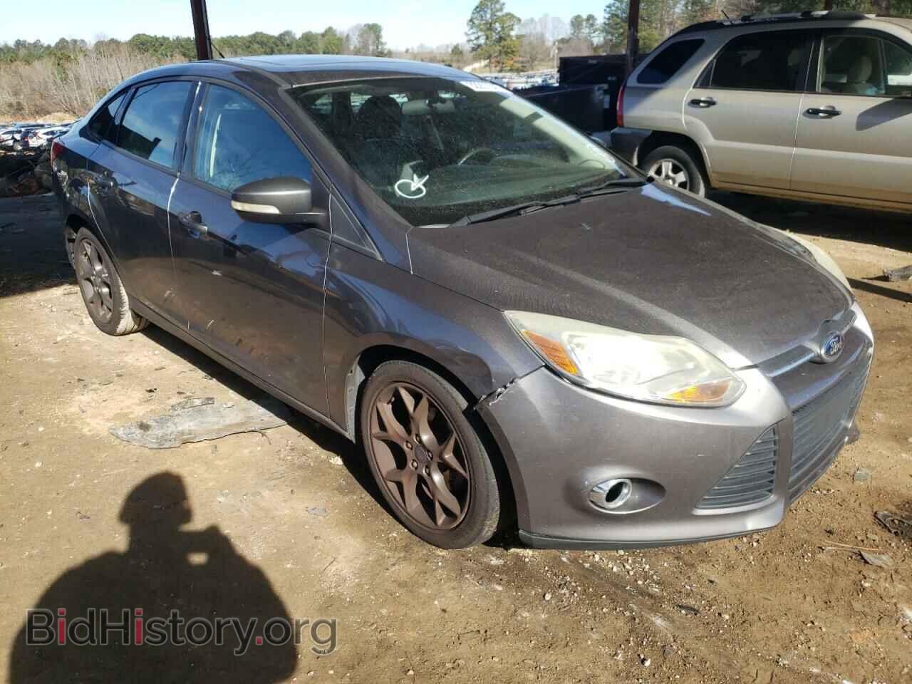 Photo 1FADP3F24DL279213 - FORD FOCUS 2013