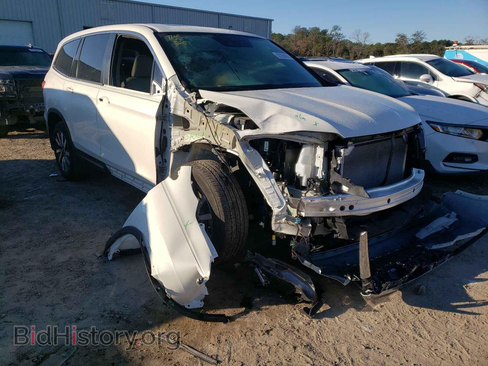 Фотография 5FNYF5H58KB041009 - HONDA PILOT 2019
