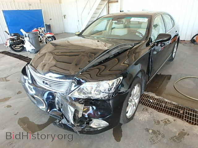 2008 LEXUS LS460 - VIN: JTHBL46F585067953 - Фото 2