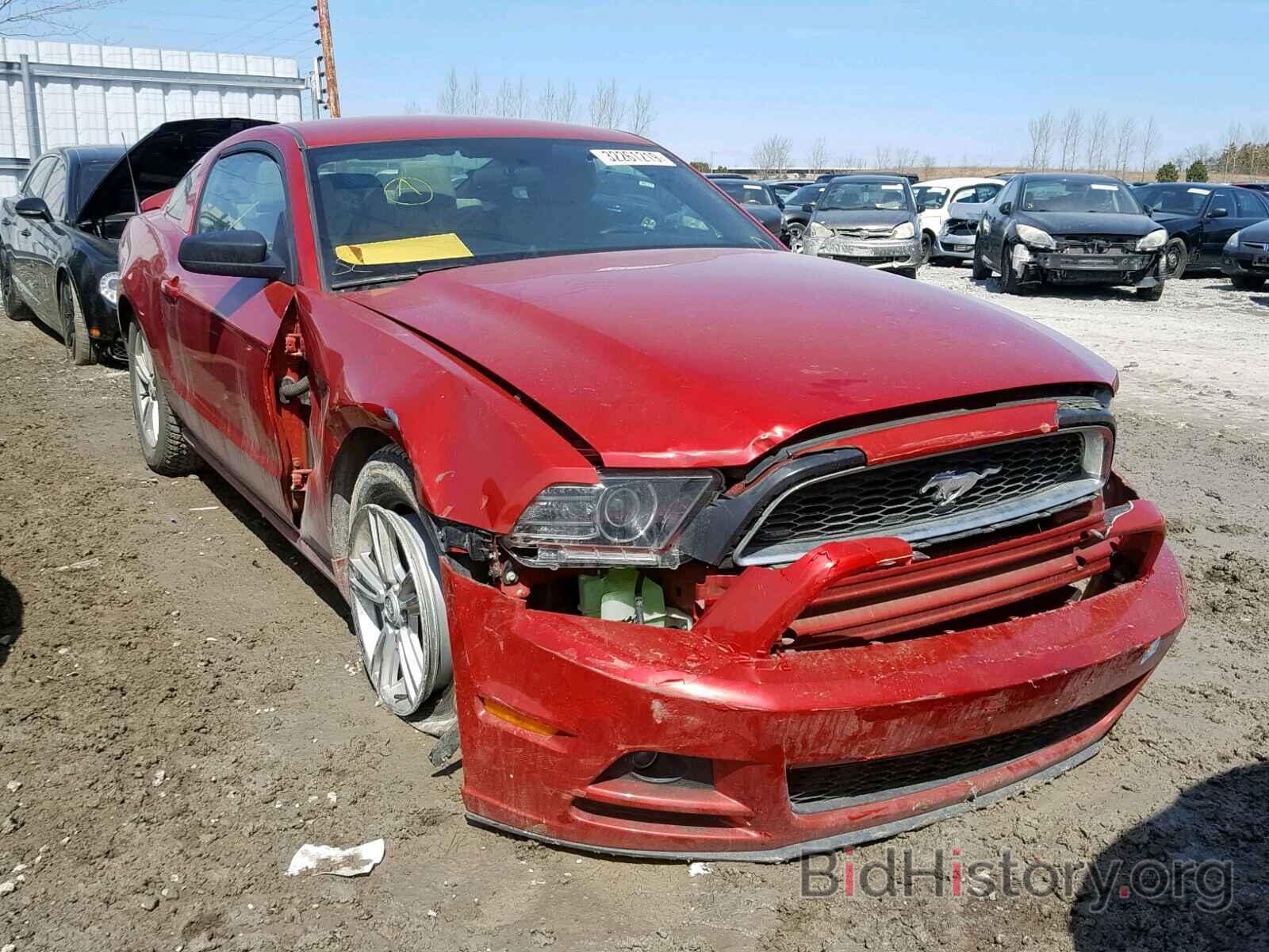 Photo 1ZVBP8AM0D5242460 - FORD MUSTANG 2013