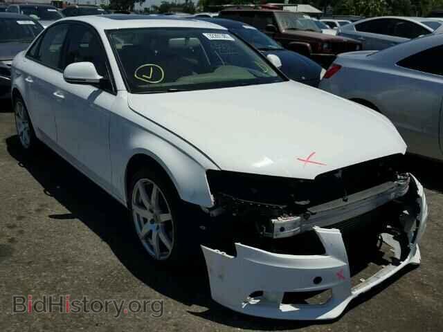 Фотография WAULF78K99A124122 - AUDI A4 2009