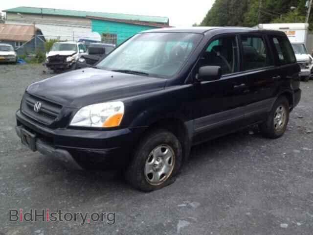 2005 HONDA PILOT - VIN: 2HKYF18115H533165 - Фото 2
