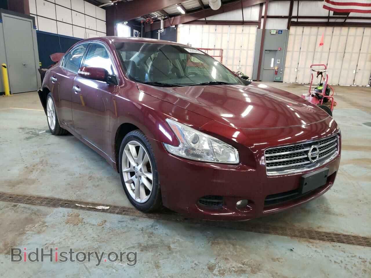 Photo 1N4AA5AP1AC860800 - NISSAN MAXIMA 2010