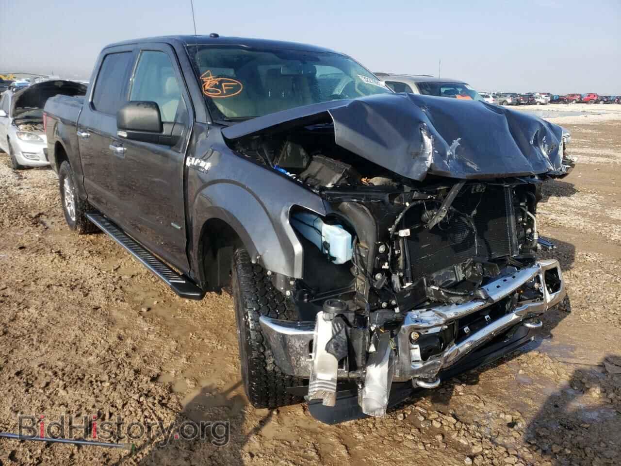 Фотография 1FTEW1EG5FFB96507 - FORD F-150 2015