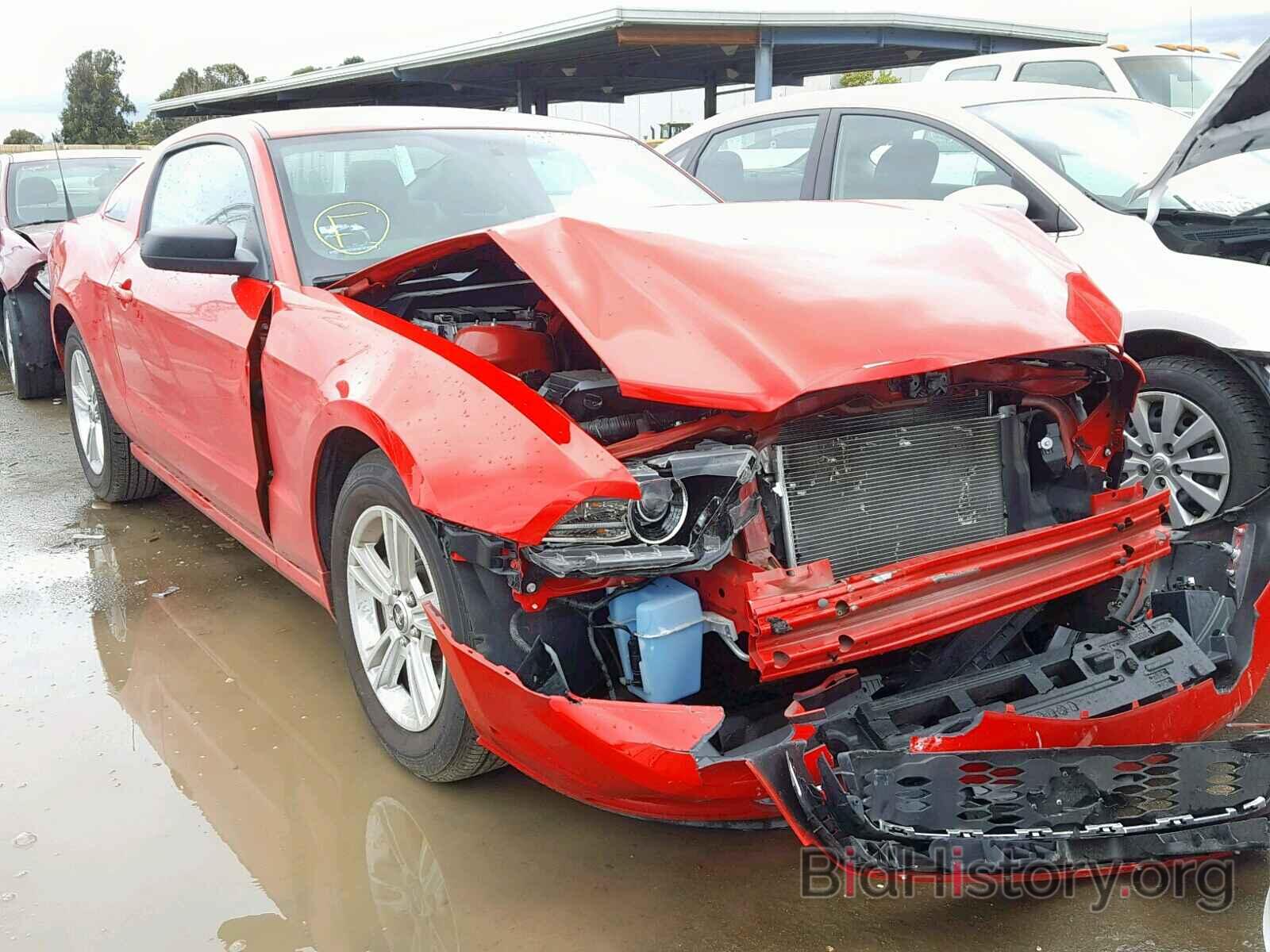 Photo 1ZVBP8AM0D5255516 - FORD MUSTANG 2013