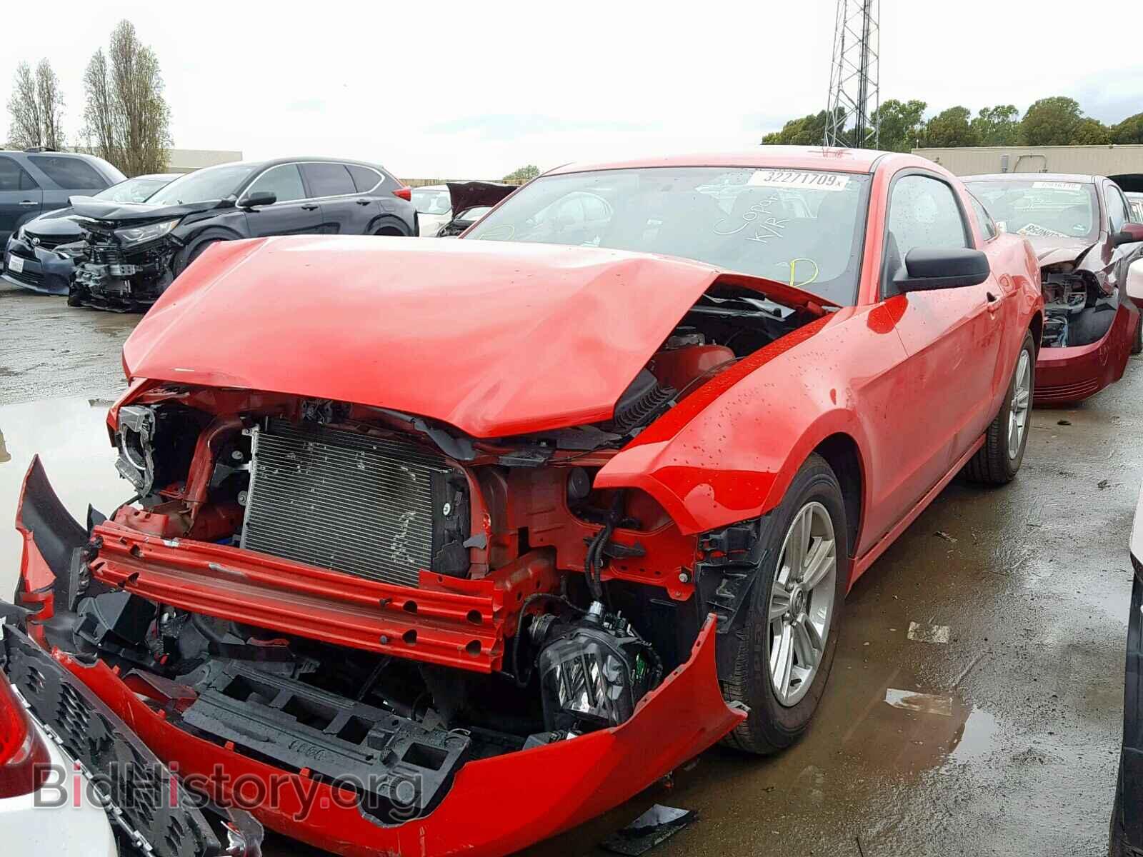 2013 FORD MUSTANG - VIN: 1ZVBP8AM0D5255516 - Фото 2
