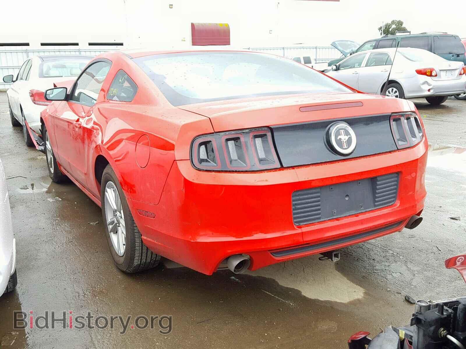 2013 FORD MUSTANG - VIN: 1ZVBP8AM0D5255516 - Фото 3