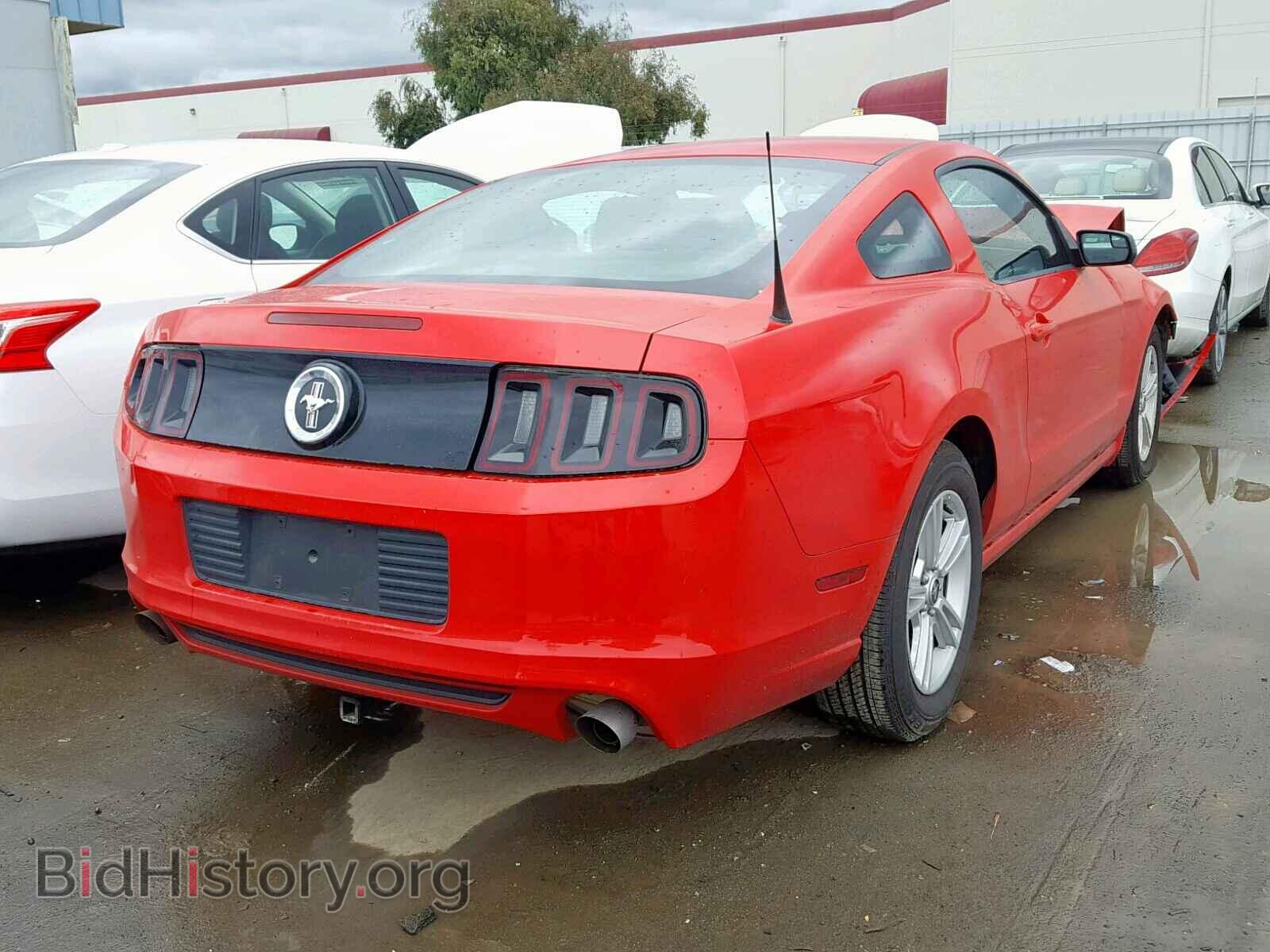 2013 FORD MUSTANG - VIN: 1ZVBP8AM0D5255516 - Фото 4